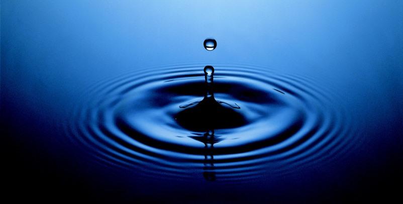 מעגלים בלוג יואב בצלאל